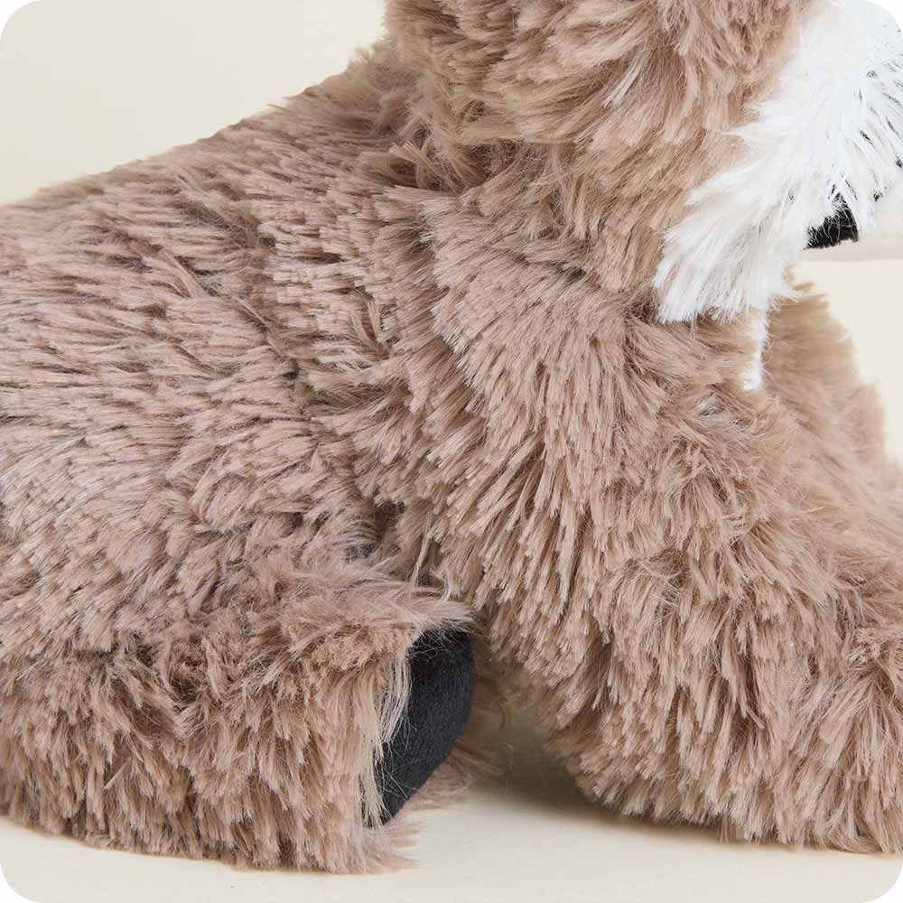 Raccoon Warmies Junior - Image 6